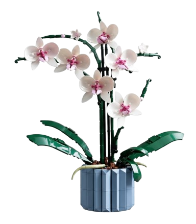 Orchid Botanical Collection Lego Malta