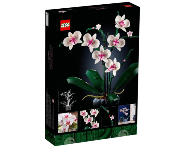 back LEGO® 10311 Orchid