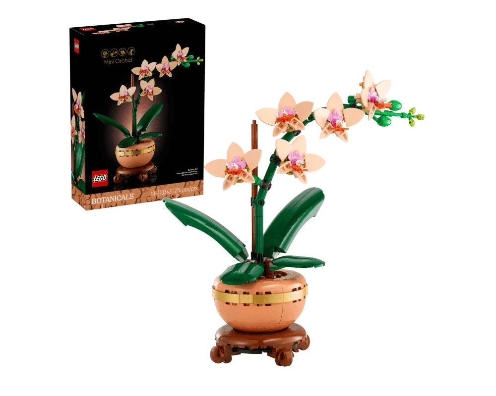 10343 Lego Front 10343 Lego Front