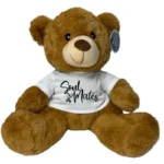Soul Mates Teddy Bear