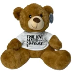 True Love Forever Teddy Bear